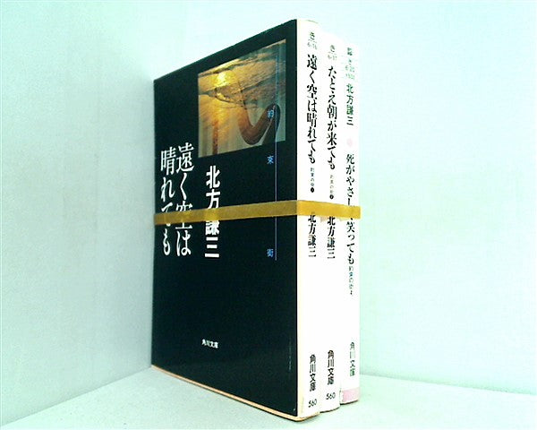 約束の街 シリーズ 遠く空は晴れても などのセット 角川文庫 北方 謙三 １巻-２巻,４巻。