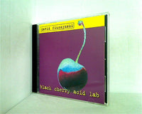Black Cherry Acid Lab David Fiuczynski デヴィッド・フュージンスキー