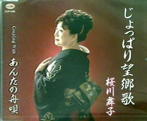 【レア】【シングルCD】望郷の歌／すがはらやすのり レア】【シングルCD】望郷の歌／すがはらやすのり