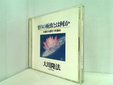 悟りの極致とは何か 大川隆法 幸福の科学出版