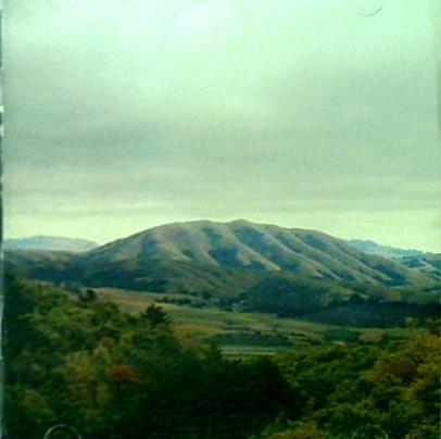 MOUNT WITTENBERG ORCA DIRTY PROJECTS ＋ BJORK