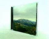 MOUNT WITTENBERG ORCA DIRTY PROJECTS ＋ BJORK