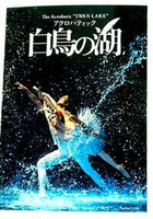 パンフレット The Acrobatic '' SWAN LAKE'' アクロバティック 白鳥の湖