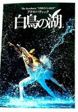 パンフレット The Acrobatic '' SWAN LAKE'' アクロバティック 白鳥の湖