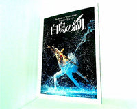 パンフレット The Acrobatic '' SWAN LAKE'' アクロバティック 白鳥の湖