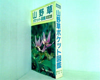 増補版 山野草ポケット図鑑 月刊さつき研究社