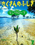西表島のマングローブ 月刊たくさんのふしぎ 2007年7月号 第268号