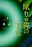 パンフレット 眠れる森の美女 東京都助成 2000都民芸術フェスティバル 参加 日本バレエ協会公演