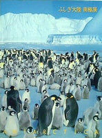 図録・カタログ ふしぎ大陸 南極展 日本南極観測40周年記念 1997年