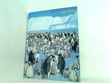 図録・カタログ ふしぎ大陸 南極展 日本南極観測40周年記念 1997年