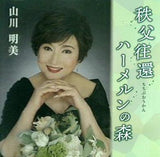 秩父往還 山川明美