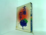 太陽の子 菅原有一