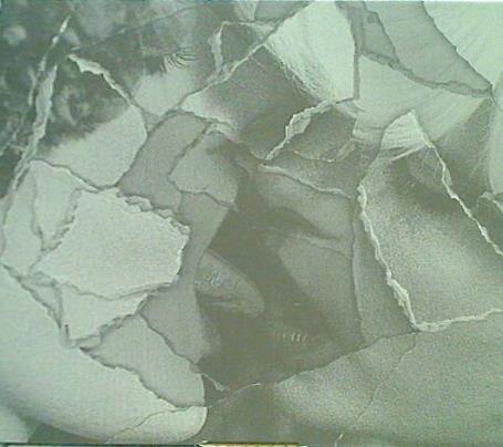 out of body mouse on the keys