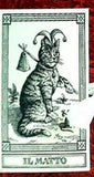 22 ARCANI GATTI Il Meneghello