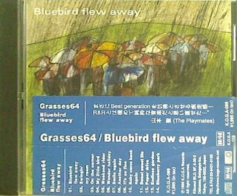 Bluebird flew away grasses64
