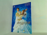 パンフレット 聖なる星の奇蹟 いつか出会う君に 宙組公演 宝塚歌劇 2002年