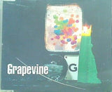 Grapevine 光について