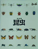 特別展 昆虫 2018