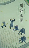 図録・カタログ 特別展 生誕140年記念 川合玉堂 日本のふるさと・日本のこころ 山種美術館 2013年