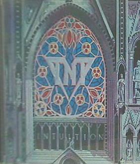 INTUITION TNT インテュイション