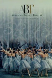 パンフレット AMERICAN BALLET THEATRE アメリカン・バレエ・シアター 2014年 日本公演