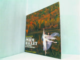 パンフレット NTTスーパーコミュニケーション THE STATE PERM BALLET IN MEMORY OF TCHAIKOVSKY ロシア国立チャイコフスキー記念ペルミ・バレエ1992年日本公演