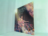 パンフレット Kyiv Ballet THE NATIONAL ACADEMIC OPERA ＆ BALLET THEATRE OF UKRAINE 2012-13 JAPAN