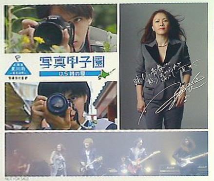 写真甲子園 0.5秒の夏