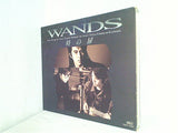 時の扉  WANDS