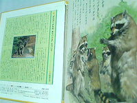 本セット シートン動物記 はたおりすのぼうけん 小林 清之介