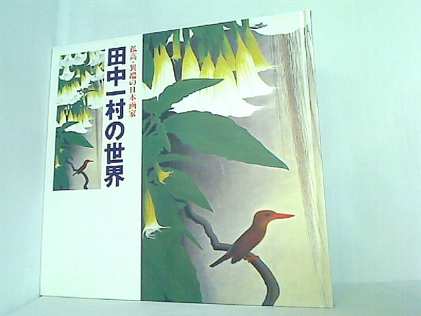大型本 図録・カタログ 孤高・異端の日本画家 田中一村の世界