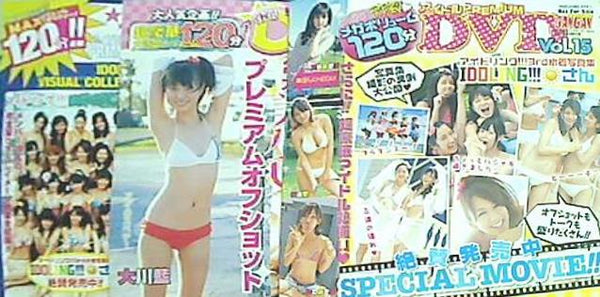 ヤングガンガン 2010年-2011年 付録DVDセット