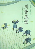 図録・カタログ 特別展 生誕140年記念 川合玉堂  日本のふるさと・日本のこころ  山種美術館 2013年
