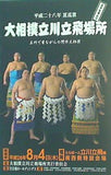 パンフレット 平成二十八年夏巡菜 大相撲立川立飛場所 立川で昔ながらの野外大相撲