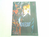 パンフレット daytime hustler 愛を売る男 宝塚歌劇 雪組東京特別公演 2005