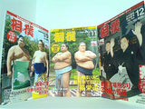 相撲 ベースボール・マガジン社 2017年号 １月号,３月号-７月号,９月号,１１月号-１２月号。付録欠品。