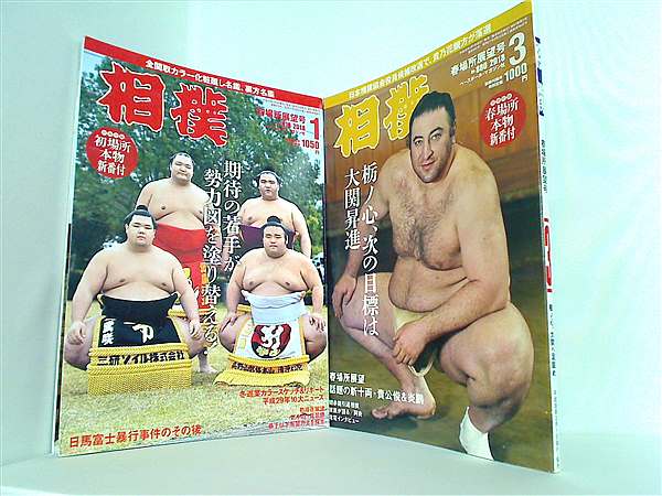 本セット 相撲 ベースボール・マガジン社 2018年号 1月号,3月