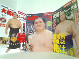 NHK大相撲ジャーナル 2016年号 ４月号-８月号,１０月号,１２月号。付録欠品。
