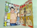 スポーツ報知大相撲ジャーナル 2017年号 ６月号,８月号-１２月号。付録欠品。