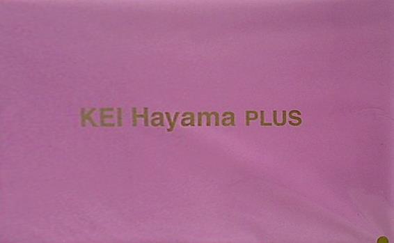 大型本 KEI Hayama PLUS ケイハヤマプリュス ビッグバッグ＆ポーチ