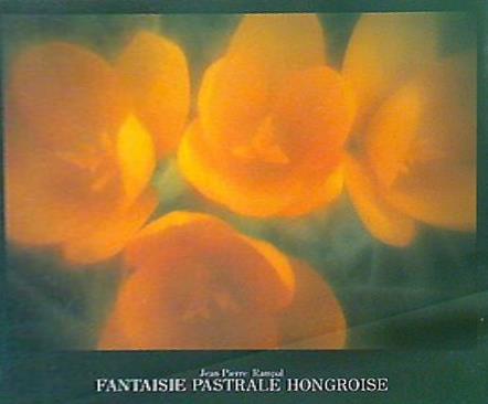 ハンガリー田園幻想曲 フルート名曲集