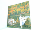 パンフレット THE STATE PERM BALLET in Memory OF Tchaikovsky 1992
