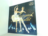 パンフレット The Leningrad State Ballet Mikhailovsky theatre 2010-2011 JAPAN レニングラード国立バレエ団