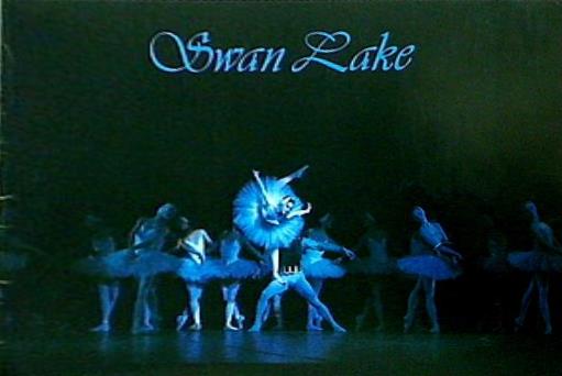 パンフレット Swan Lake 東京バレエ団