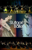 パンフレット Stuttgart Ballet 2015 シュツットガルト・バレエ団