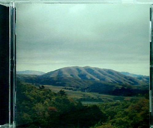 MOUNT WITTENBERG ORCA Dirty Projectors ＋ Bjork ダーティー・プロジェクターズ ビョーク マウント・ウィッテンベルク・オルカ