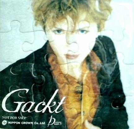 CD Gackt 16ピースパズル – AOBADO オンラインストア