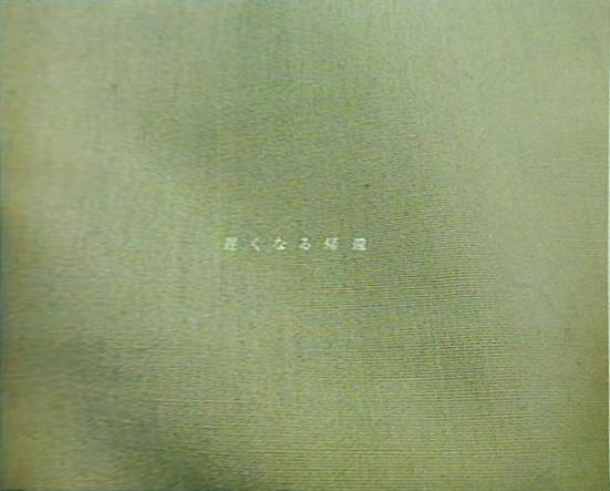 さよならポエジー/前線に告ぐ/遅くなる帰還2枚まとめ売り