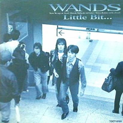 Little Bit... WANDS