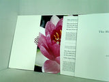 amanamana The Blessing Card 白